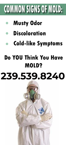 Naples Mold Remediation Contractor